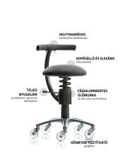 SpinaliS ergonomikus szék